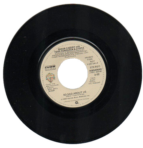 Shaun cassidy todd rundgren - shaun,